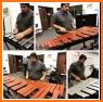 Marimba, Xylophone, Vibraphone Real related image