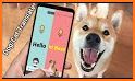 Cat And Dog Translator—Pet translator, Sounds related image