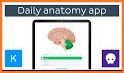 Anatomy & Physiology in a Flash!: Interactive App related image