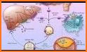 Biochemical metabolism related image