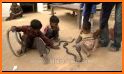 Snake Video: Made In India related image