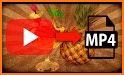 Download Videos Free And Fast Mp4 Easy Guide related image