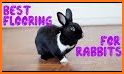 Tile Puzzles · Rabbits related image