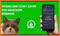 Story Saver For WhatsApp Business related image