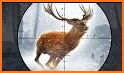 Deer Hunt Wild Animal Shooting Games 2021 related image