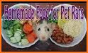 How to Take Care of a Pet Rat related image