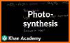 Photo Synthesis related image