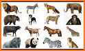 Learn Animal Names and Sounds related image