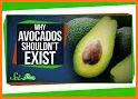 Avocado Vet related image