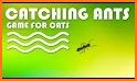 Video Touch - Bugs & Insects related image