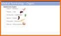 Medical Eponyms Dictionary of Medical Terminology related image