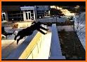 Ninja Parkour related image