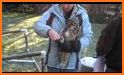 Horned Owl Rescue related image