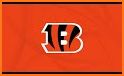 Cincinnati Bengals Wallpaper related image