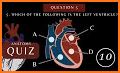 Anatomy Quiz : Physiology Quiz Test Your Knowledge related image