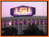 LSU Tiger Lights related image