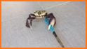 Mad Crab Grab related image