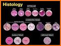 AnatLab Histology related image