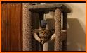 Cat Condo Ideas related image