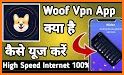 Woof VPN - Fast Secure Proxy related image