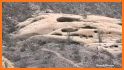 Anza-Borrego Wildflowers related image