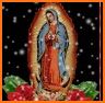 Imagenes de la Virgen de Guadalupe related image