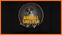 Animal Shelter 3D related image