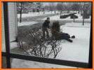 Shovler: Snow Shoveling & Snow Removal related image