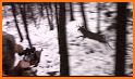 Deer Hunter 2022 - Sniper Hunt related image