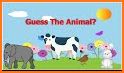 Guess the Animal Puzzle related image