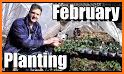 Planting calendar - vegetables related image