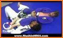 Mushin BJJ related image