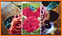 Rare Flower Live Wallpapers 4K Free Roses Library related image