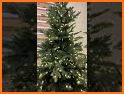 WFP 306 Christmas tree related image