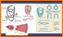 Echocardiography 2e related image