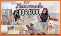 Dog Food Recipes - Homemade Do related image