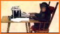 Infinete monkey theorem related image