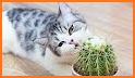 NatureID: Identify plant, flower, tree, cat & dog! related image