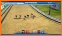 Dog Racing Action Game related image