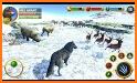 Arctic Wolf Family Simulator related image