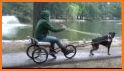 Pet Dog ATV Trolley Cargo Transport related image