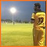 Kashmir Super League - KSL related image