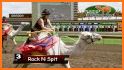 Animal Racing - 4 Players Camel Races related image