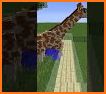 Addons Zoo related image