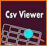 CSV Viewer Pro related image