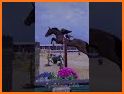 Horse Jump related image