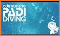 PADI Training related image