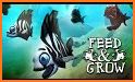 Feed and Grow Fish Game Guide related image