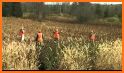 Pheasant Bird Hunting: Wings Sniper Shooting 2018 related image