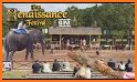 Texas Renaissance Festival related image